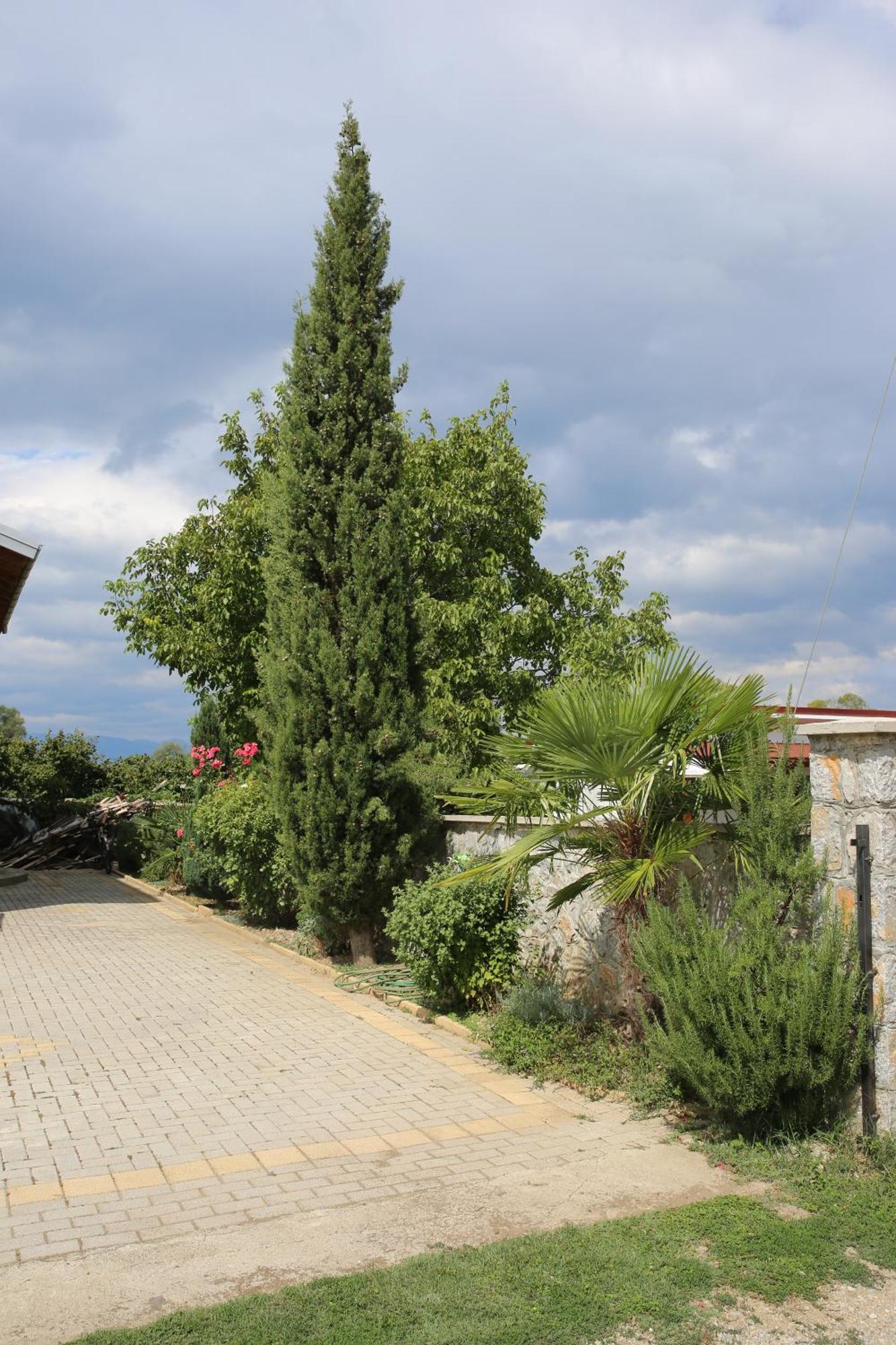 Villa Goriza Prestige Ohrid Exterior photo
